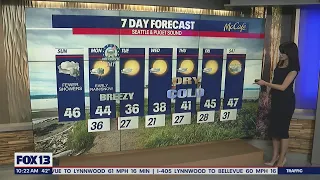 Dry and cold all week long! | FOX 13 Seattle
