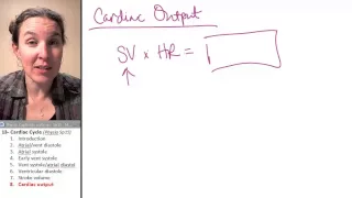 Cardiac cycle 8- Cardiac output