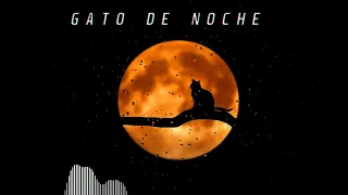 GATO DE NOCHE 😈 - Ñengo flow & Bad Bunny (Remix RKT 2023 Dj Ema)