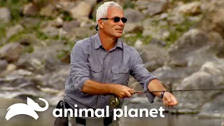 Jeremy Goes FLY FISHING! | River Monsters | Animal Planet