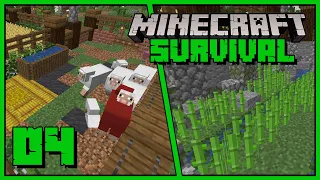 Minecraft - farma trzciny, krowy, owce, zagrody zwierząt | Minecraft 1.19 Survivalowy Poradnik 04