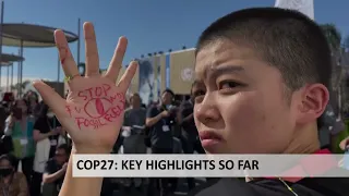 COP27: KEY HIGHLIGHTS SO FAR