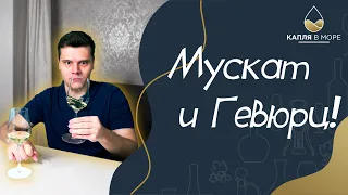 Не сладкие сладкие? Мускат и Гевюрцтраминер | Сорта винограда