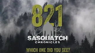SC EP:821 Which One Did You See?