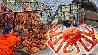 Amazing Catch Hundreds Tons Alaska King Crab | The World's Priciest Seafoods Are So Expensive