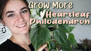 Houseplant Propagation for Beginners 🌿 Heartleaf Philodendron