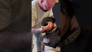 This dog’s reaction going to a chiropractor is hilarious 😂 @Fun_____World