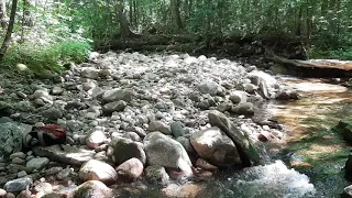 Gold panning in NH.