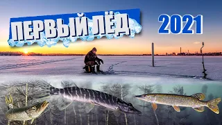 ПЕРВЫЙ ЛЕД 2021 | ЛОВЛЯ ЩУКИ ЗИМОЙ на ЖЕРЛИЦЫ | PIKE FISHING