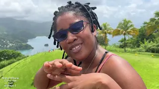 Tobago Charlottesville - #caribbean1vlogger  #loveindehouse