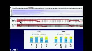 TCGA: Adverse Outcomes in Clear Cell Renal Cell Carcinoma With Mutations - Ari Hakimi