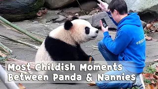 Most Childish Moments Between Panda & Nannies | iPanda