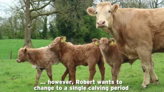 New BETTER farmer Robert Abbott's Longford suckler farm