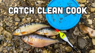 Creek Chub Fishing {Catch Clean Cook}