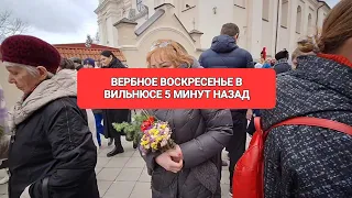 24 марта 2024 г.[Жизнь в Литве] Я ГУЛЯЮ ПО НАБЕРЕЖНОЙ РЕКИ НЕРИС