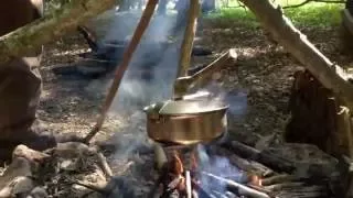 Les asperges sauvages, cueillette et préparation Bushcraft [1]