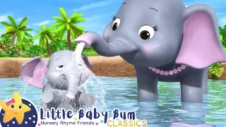 5 Elephants Having A Wash | Little Baby Bum Animal Club | Fun Songs for Kids
