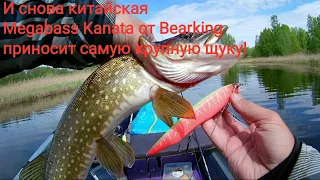 Китайская Megabass Kanata сегодня опять с самой крупной щукой!Jackall Rerange 110SP копияот Allblue!