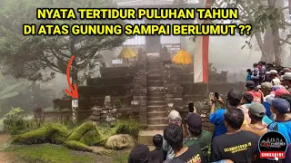 NYATA TERTIDUR PULUHAN TAHUN DI ATAS GUNUNG SAMPAI BERLUMUT ❓VIDEO INI BUKTINYA