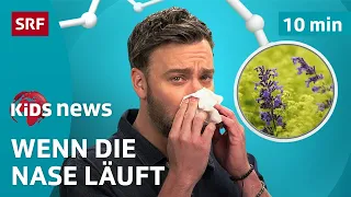 SRF Kids News: Heuschnupfen & Allergien – die Natur als Feind | Nachrichten für Kinder