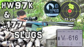 Weihrauch HW 97K .177 Air Rifle + 25 & 50 Yard Accuracy TEST + FULL REVIEW - Airgun Slugs