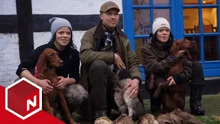 Jegertvillingene drar på fasanjakt i Danmark | Jegertvillingene | discovery+ Norge