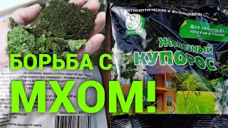 Как избавиться от МХА и Лишайников на участке. Проверенный способ 100% результат.