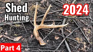 Shed Hunting 2024 - Sheds in the Rain - Part 4