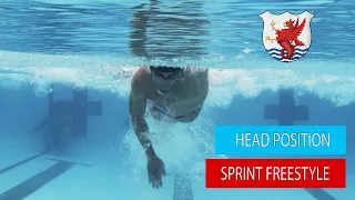 Sprint Freestyle Technique - Head Position