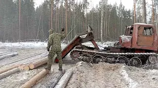 Работа в лесу для настоящих мужиков. ✊