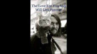 In Memory of Street Cat Bob - Paul Cope
