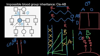 Impossible blood groups inheritance Cis-AB explained