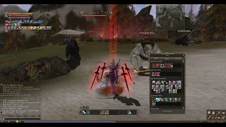 Lineage II  Mithril Mines x5 - Blade Dancer  version 2