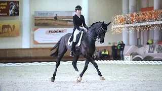 20.10.2023 Командный Чемпионат Московской области по выездке