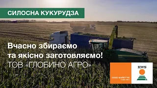 ТОВ «ГЛОБИНО АГРО». Вчасно збираємо та якісно заготовляємо кукурудзу на силос!  | КВС-УКРАЇНА