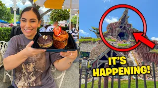 ☀️ NEW Disneyland UPDATES! | Summer Crowds, New Disneyland Food, Merch, Construction + MUCH MORE!