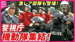 【警視庁機動隊】こんな部隊もあるの!? 1700人が圧巻の行進！”激レア部隊”も集結した観閲式2024