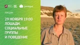 29.11.2019 Лошади: социальные группы и поведение