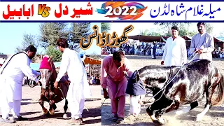 Mela ghulam shah 2022||Best Horse Dancing | ghora sheer dil vs ababil|Best horse dance |khan studio