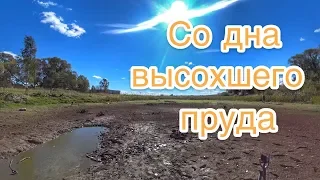 НАШЁЛ ЗОЛОТОЕ КОЛЬЦО С НАДПИСЬЮ! ИЩУ ВЛАДЕЛЬЦА. НАХОДКИ СО ДНА ВЫСОХШЕГО ПРУДА.