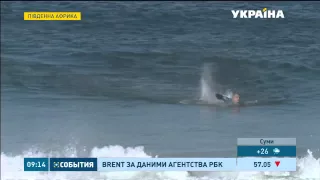 Велика біла акула напала на серфінгіста під час змагань