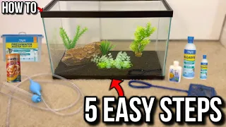 How To Set Up A Fish Tank Aquarium Step by Step (EASY BEGINNER)