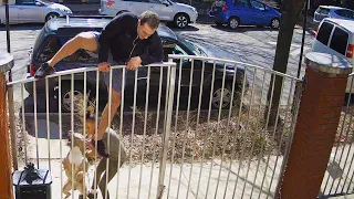 Dog Attacks Jogger when Owner Loses Control (ORIGINAL VIDEO)(Pit Bull)