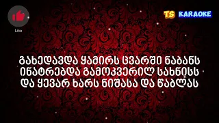 Bicho iqneb papa iyo sheni KARAOKE/ბიჭო იქნებ პაპა იყო შენი კარაოკე