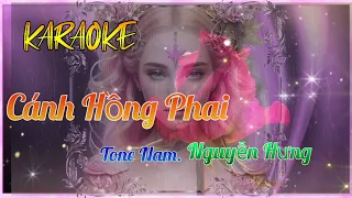 Hằng Mai KARAOKE🎤 CÁNH HỒNG PHAI / Tone Nam / Nguyễn Hưng Beat.