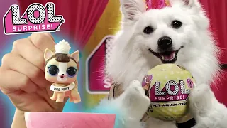 L.O.L. Surprise! Series 3 Pets! | Commercial