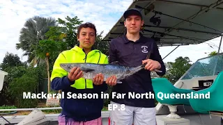 Mackeral season in Far North Queensland EP.8