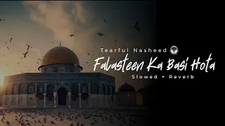 Falasteen Ka Basi Hota(Slowed And Reverb) | Tearful Nasheed