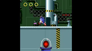 The Naked Hedgehog (Sonic funny hack)