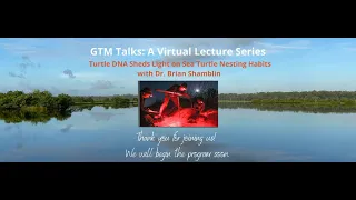 GTM Talks: Turtle DNA Sheds Light on Sea Turtle Nesting